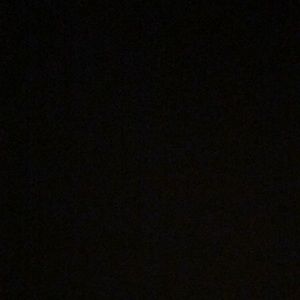 Meet your Posher, Ariana